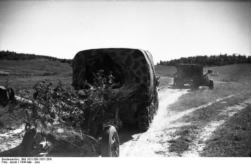 Soubor:Bundesarchiv Bild 101I-280-1057-26A, Russland, Halbkettenfahrzeug mit Geschütz.jpg