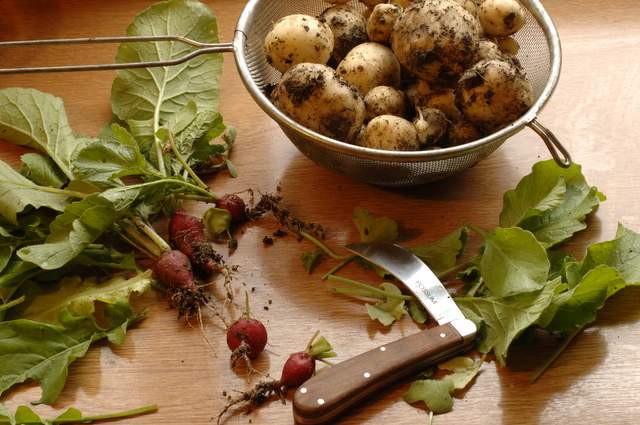 Soubor:Vegetables potatoes.jpg