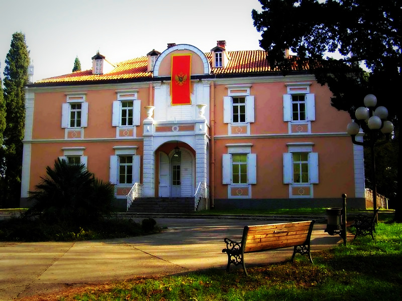 Soubor:WInter Royal Palace in Podgorica.jpg