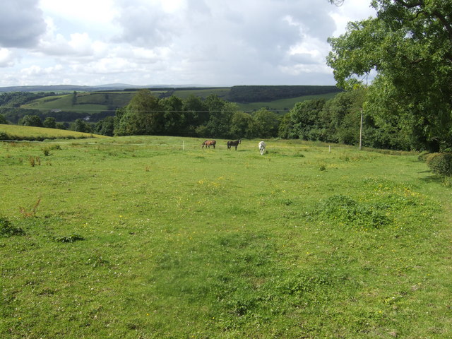 Soubor:Horses grazing by Waygateshawhead - geograph.org.uk - 504606.jpg