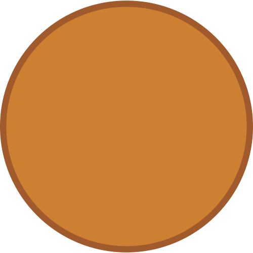 Soubor:Bronze medal blank.png