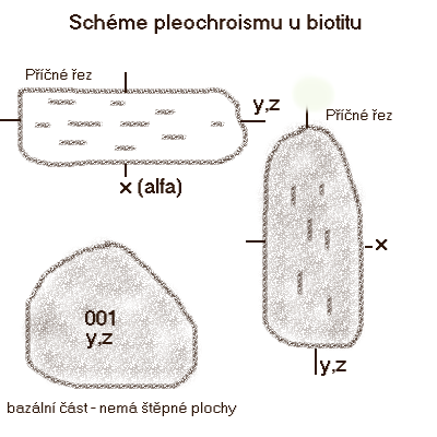 Soubor:Biotit pleo.png