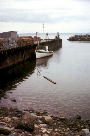 Soubor:Bay of Fundy High Tide.jpg