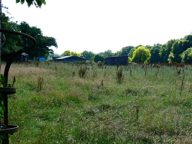Soubor:Knightwood, near Nightwood Copse, Farley - geograph.org.uk - 491680.jpg