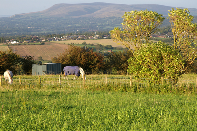 Soubor:Horses grazing on Mellor Moor - geograph.org.uk - 547233.jpg