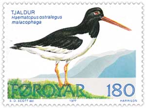 Soubor:Faroe stamp 023 oyster catcher.jpg