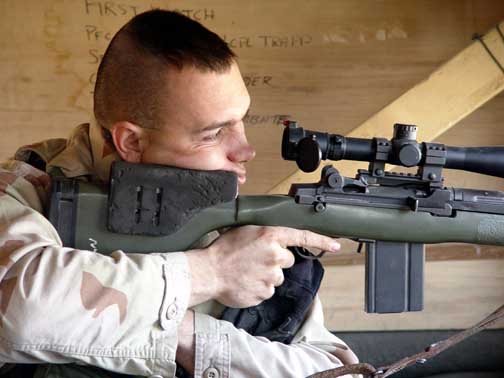 Soubor:Designated Marksman Rifle 2.jpg