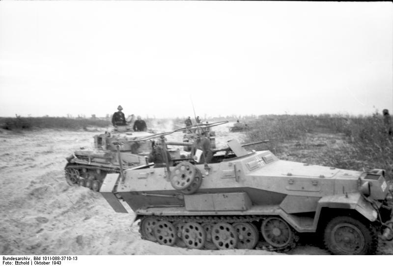 Soubor:Bundesarchiv Bild 101I-088-3710-13, Russland, Schützenpanzer und Panzer.jpg