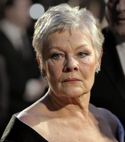 Soubor:Judi Dench at the BAFTAs 2007.jpg