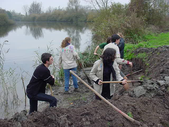 Soubor:BR ijsvogelwand.jpg