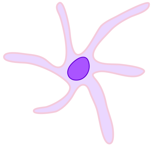 Soubor:Dendritic Cell ZP.png