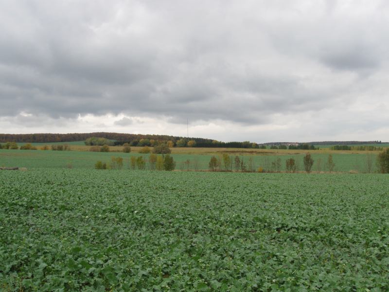 Soubor:Drahanská vrchovina Kojál.jpg