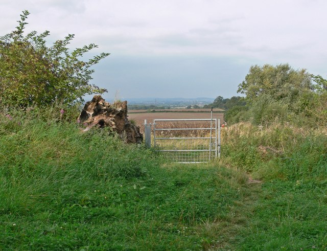 Soubor:Footpath at East Midlands Airport - geograph.org.uk - 558977.jpg