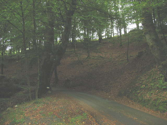 Soubor:A no through road through dense woodland at Pont ar Felau - geograph.org.uk - 541997.jpg