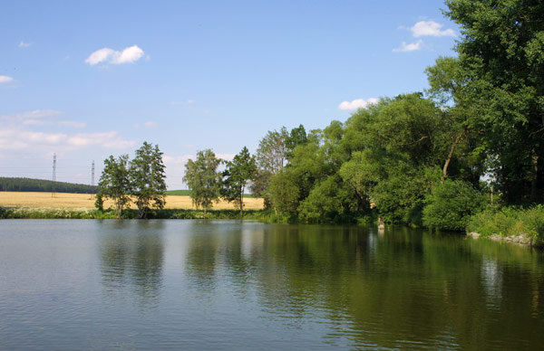 Soubor:Týnecký rybník.jpg