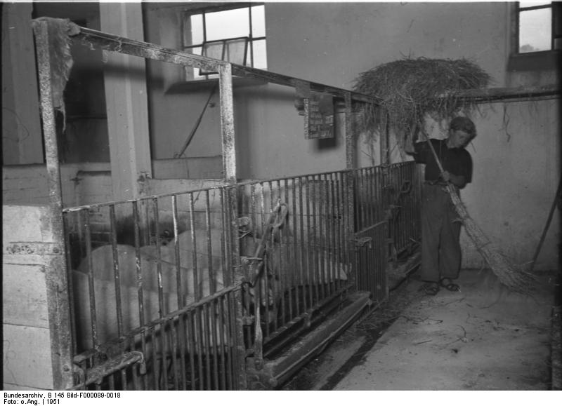 Soubor:Bundesarchiv B 145 Bild-F000089-0018, Landesumschulungshof Finkenbach.jpg