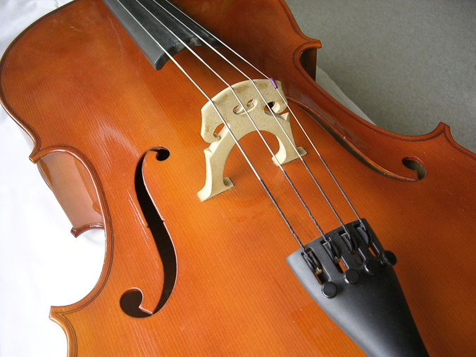 Soubor:CelloCloseup1.jpg