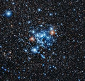 Star cluster NGC 3766.jpg
