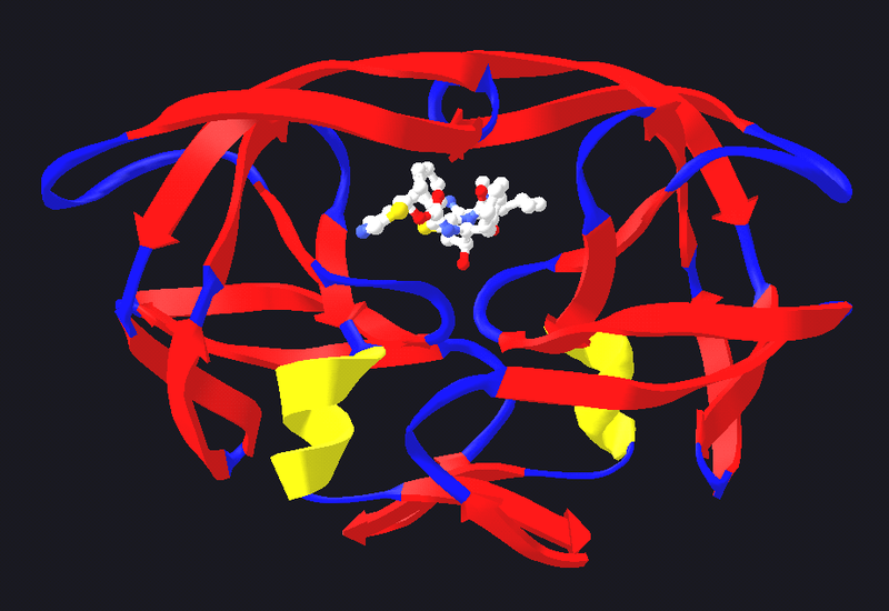 Soubor:HIV protease with bound ritonavir.png