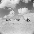 Tobruk 1941 - British Matilda tanks.jpg