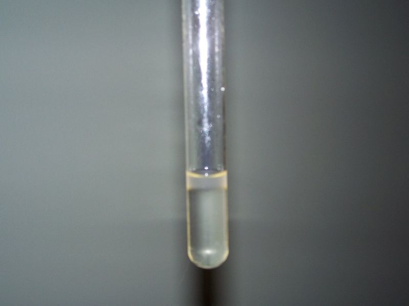Soubor:Liquid Chloroform.jpg