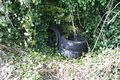 Tyres in the hedge - geograph.org.uk - 1206474.jpg