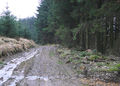 Tywi Forest track near Llyn Brianne, Powys - geograph.org.uk - 1059299.jpg