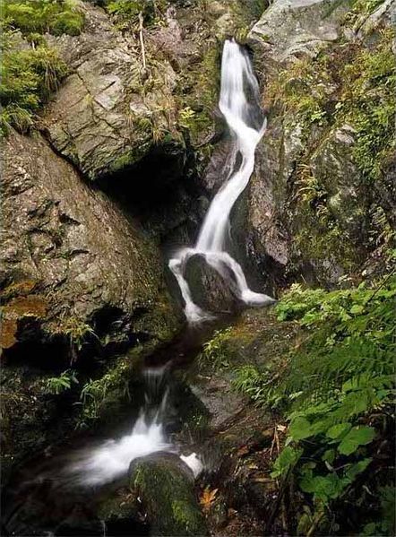 Soubor:Horní část vodopádu Na Strašidlech.jpg