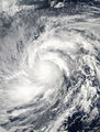 Haiyan 2013-11-08 0505Z.jpg