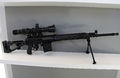 SVDM sniper rifle at Military-technical forum ARMY-2016 01.jpg