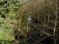 Oak Beck in woods - geograph.org.uk - 1197891.jpg