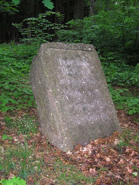 Soubor:Lichtenštejnský kámen, Klánovický les.jpg