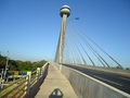 Estaiada Bridge-2010-Flickr.jpg