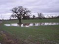 I see its been raining again^ - geograph.org.uk - 659123.jpg