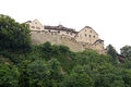 Liechtenstein-00190 - Vaduz Castle-DJFlickr.jpg