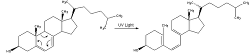 Reaction-Dehydrocholesterol-PrevitaminD3.png