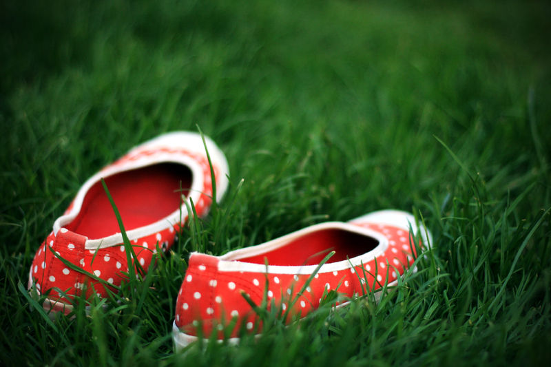 Soubor:Shoes in the grass.jpg