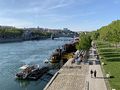 Vue du Rhône depuis le Pont Wilson (Lyon), mai 2019.jpg