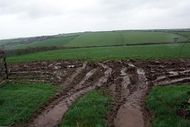 A muddy gateway. - geograph.org.uk - 354574.jpg