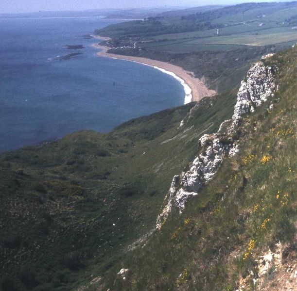 Soubor:Chalk cliffs above Ringstead Bay - geograph.org.uk - 480719.jpg