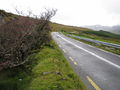 N71 road - geograph.org.uk - 265654.jpg
