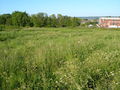 Vacant land near Ottery St Mary - geograph.org.uk - 180336.jpg