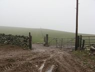A muddy gateway - geograph.org.uk - 336723.jpg