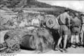 Bundesarchiv Bild 101I-587-2267-22, Italien, befestigte Stellung, Inspektion.jpg