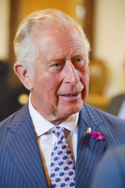 Soubor:Prince Charles Ireland-4.jpg