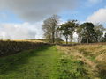 (The line of) Hadrian's Wall near Steel Rigg car park - geograph.org.uk - 599479.jpg