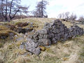 Rynuie Ruins - geograph.org.uk - 772016.jpg