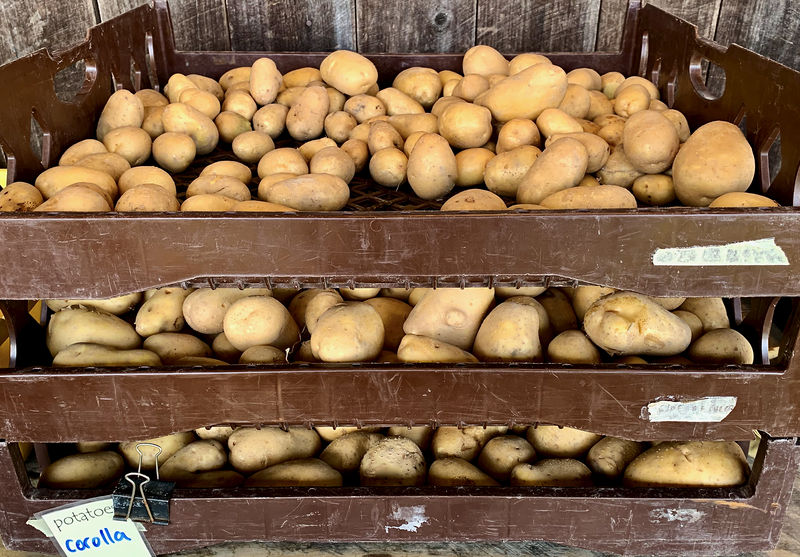 Soubor:Corolla Potatoes-2019-Flickr.jpg