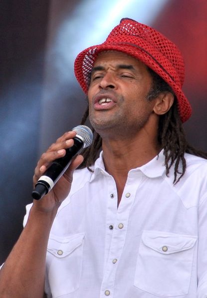 Soubor:Yannick Noah 2011.jpg