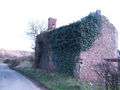 Ivy-clad ruined cottage - geograph.org.uk - 350208.jpg